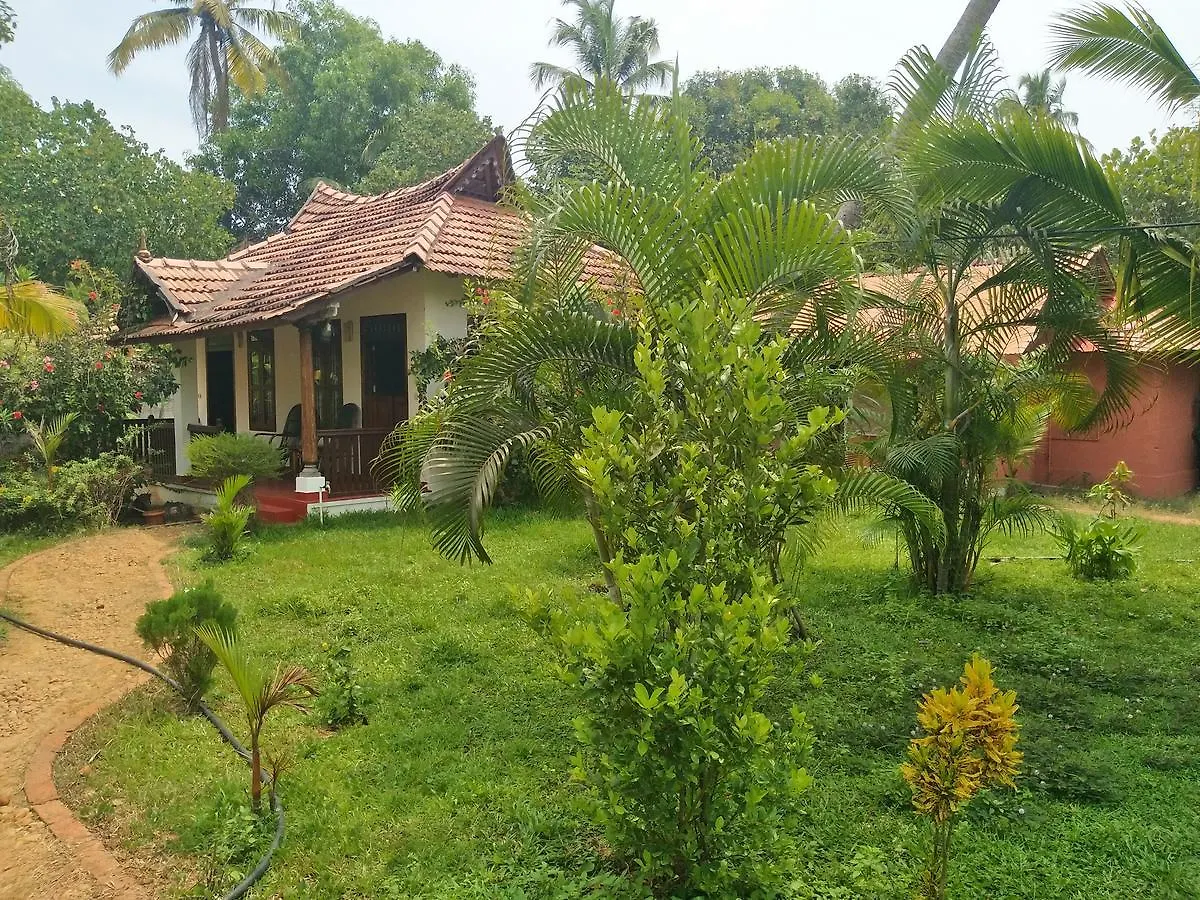 Beach Paradise 2*, Alappuzha