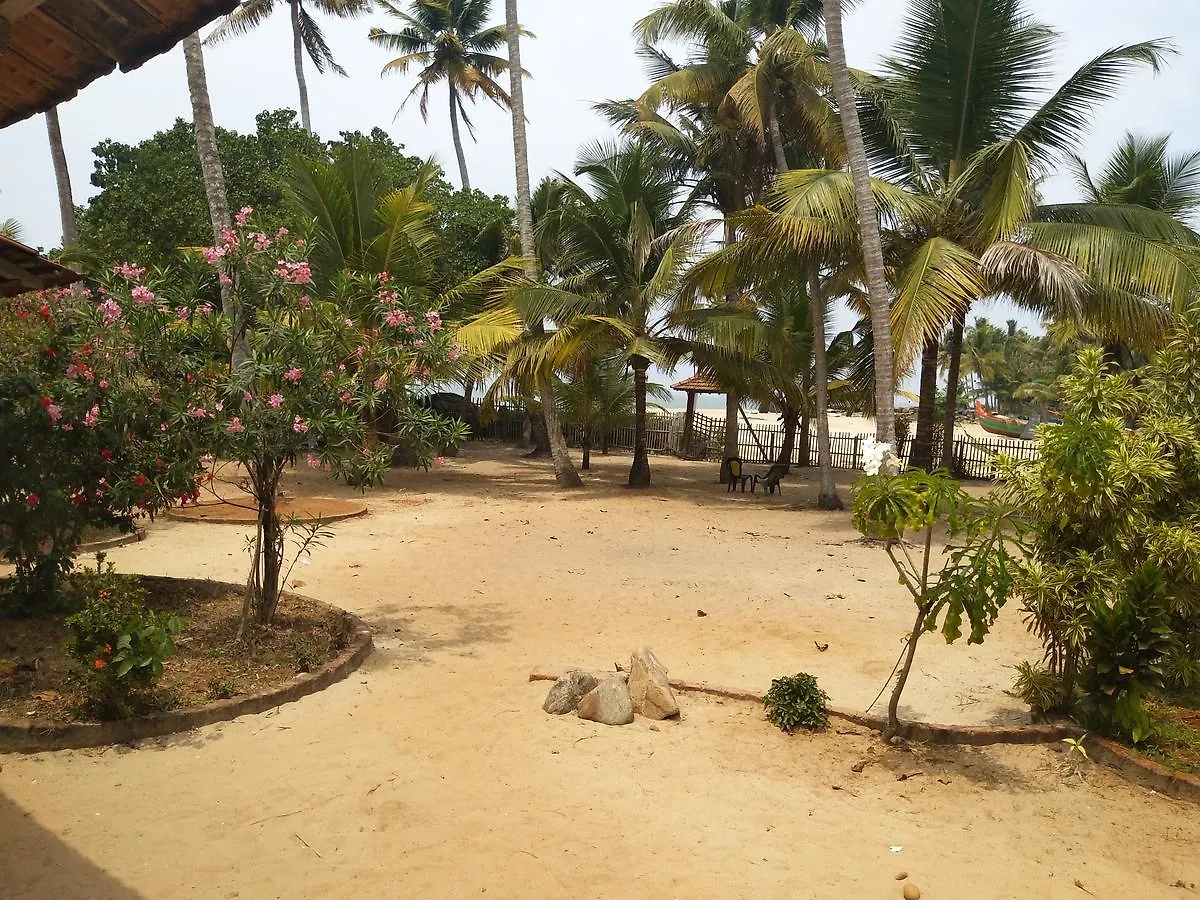 Beach Paradise
